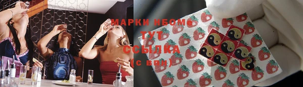 стаф Балахна