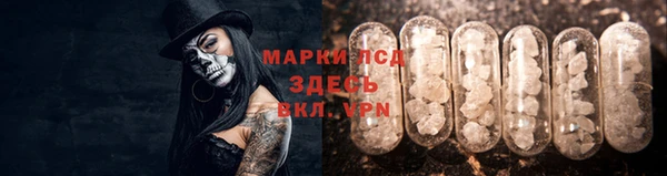 ALPHA PVP Баксан