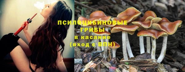 стаф Балахна