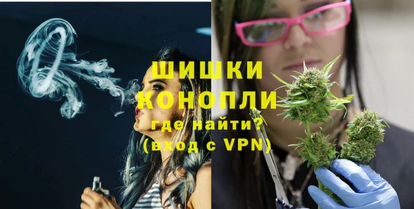 стаф Балахна