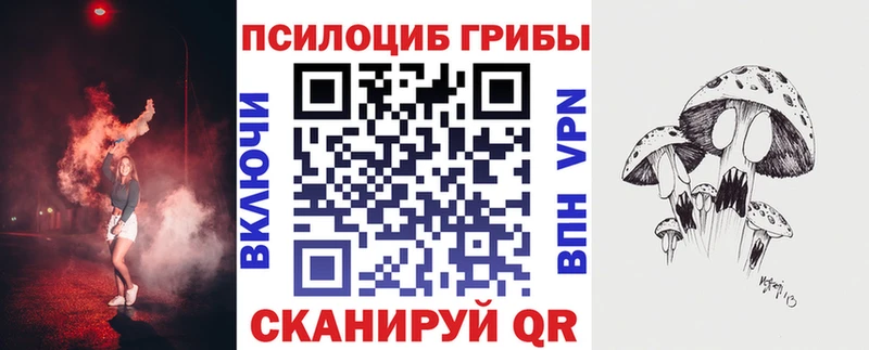 купить  цена  Новотитаровская  Псилоцибиновые грибы прущие грибы 